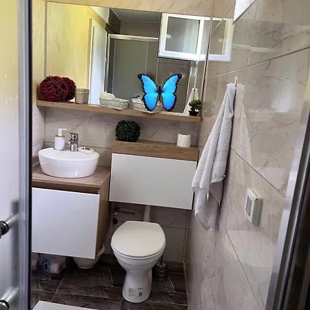 Rest House Slavinovici